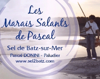 Sel des marais salants de Pascal